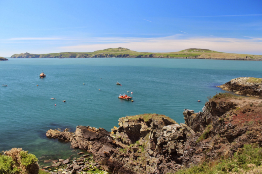 Why you should go on a boat trip in Pembrokeshire
